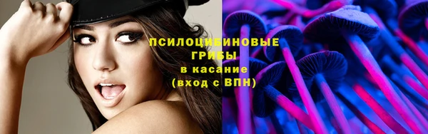 спайс Дмитровск